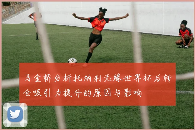 马金桥分析托纳利无缘世界杯后转会吸引力提升的原因与影响
